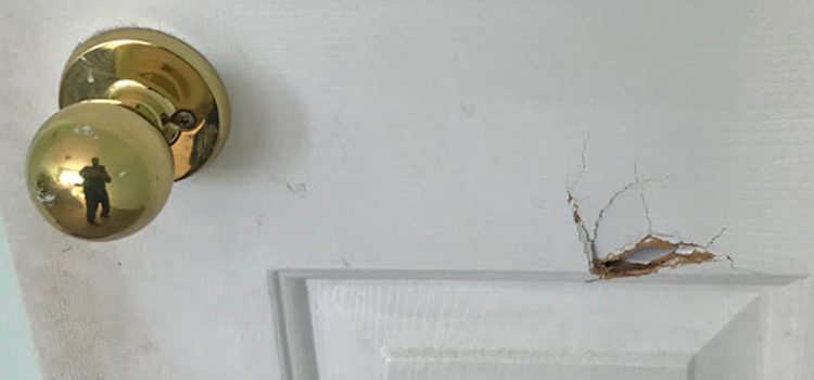 interior door hole repair Kensington