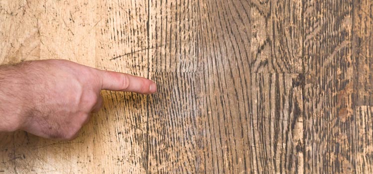 Wood Door Scratch Repair in Kensington